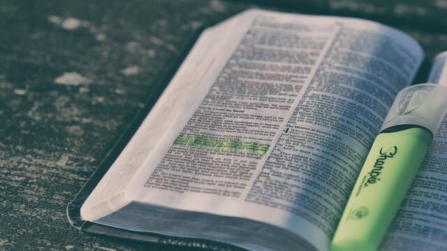 【HTML/CSS】文字を強調させる方法(SEOとの関連も説明)